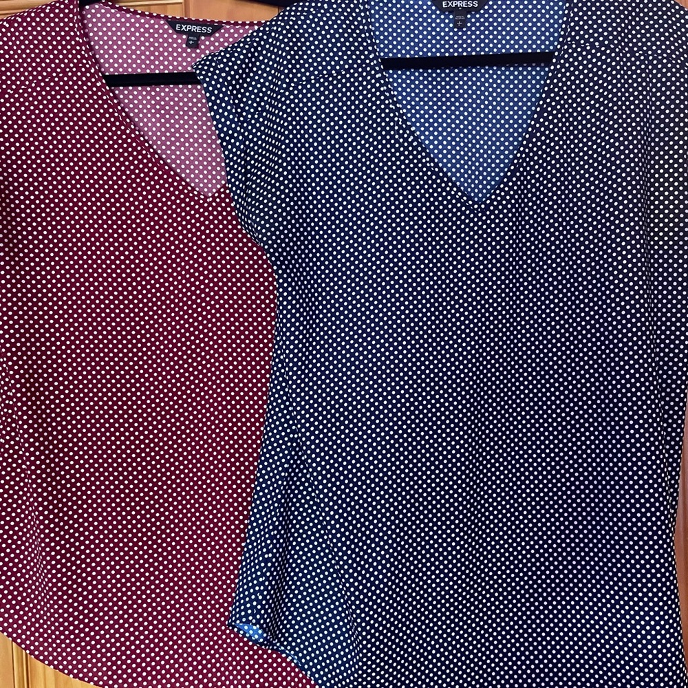 2 Ladies tops by Express (size Large)